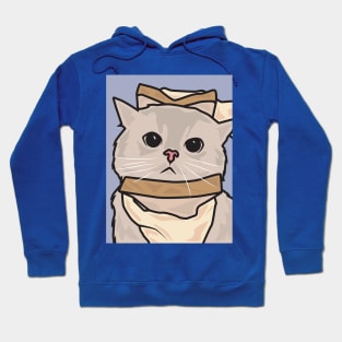 Cat an idiot sandwich Hoodie